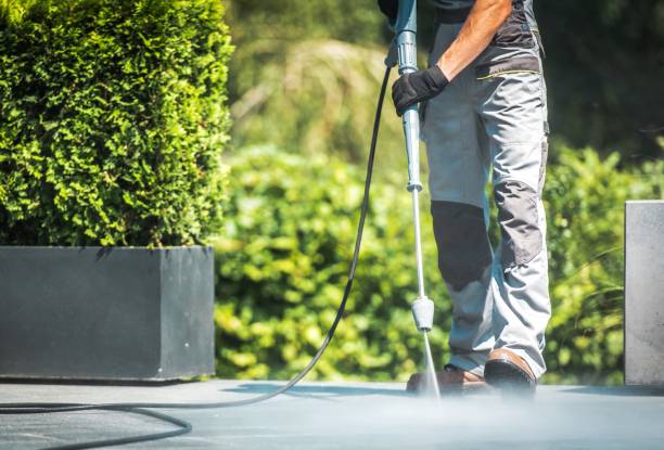 Best Sidewalk and Walkway Cleaning  in Wharton, NJ