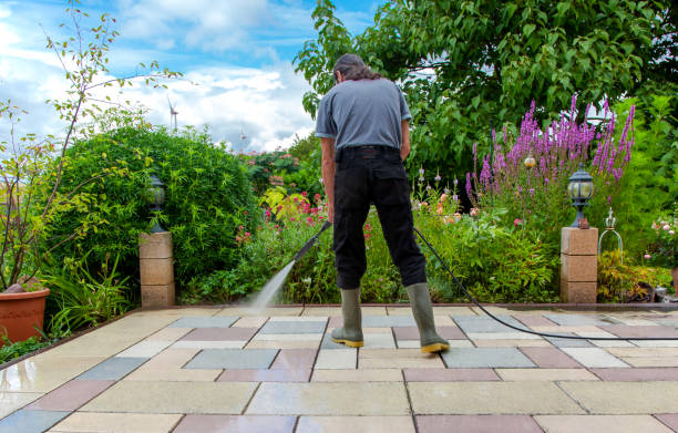 Best Animal Enclosure Cleaning  in Wharton, NJ